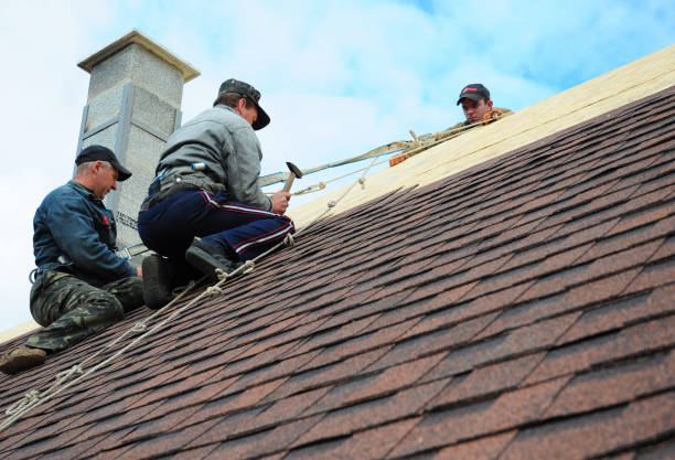 Best Roof Repair Services  in Newington, VA